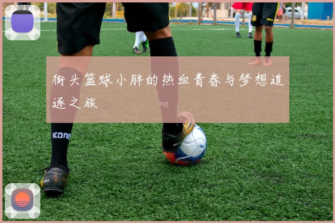 街头篮球小胖的热血青春与梦想追逐之旅