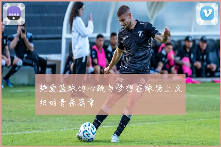 热爱篮球的心跳与梦想在球场上交织的青春篇章