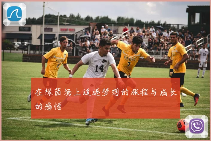 在绿茵场上追逐梦想的旅程与成长的感悟